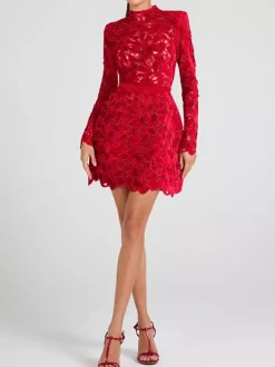 Lace Dress High Neck Long Sleeve Birthday Party Spring Mini Dress For Women 2026