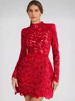 Lace Dress High Neck Long Sleeve Birthday Party Spring Mini Dress For Women 2026
