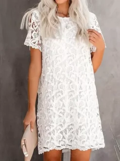 Lace Dresses White Jewel Neck Short Sleeves Oversized Lace Casual Dresses