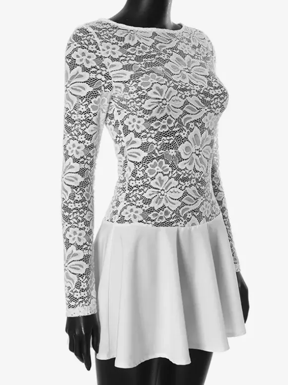 Lace Overlay A-line Dress Sheer Long Sleeve Mini Party Dress For Women 2026