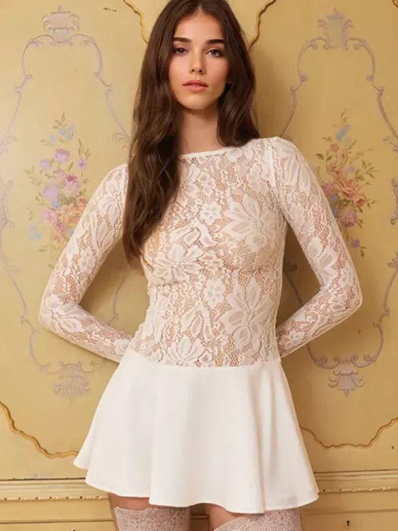 Lace Overlay A-line Dress Sheer Long Sleeve Mini Party Dress For Women 2026