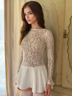 Lace Overlay A-line Dress Sheer Long Sleeve Mini Party Dress For Women 2026