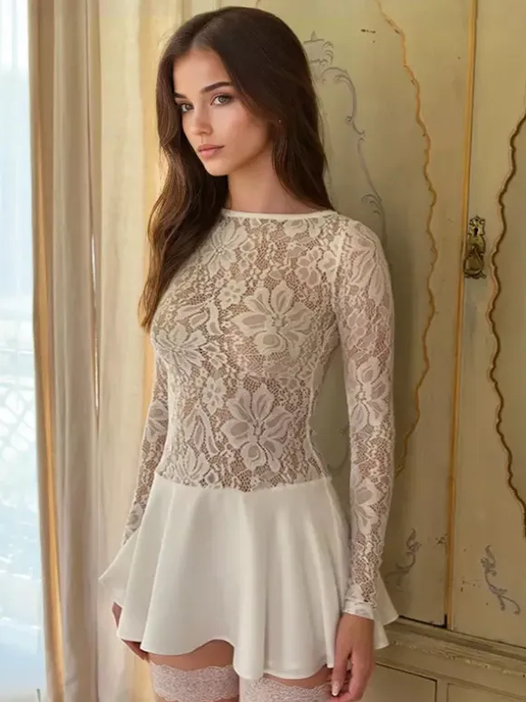 Lace Overlay A-line Dress Sheer Long Sleeve Mini Party Dress For Women 2026