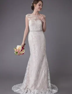 Lace Wedding Dress Champagne Jewel Sleeveless Backless Mermaid Beach Wedding Gown With Train