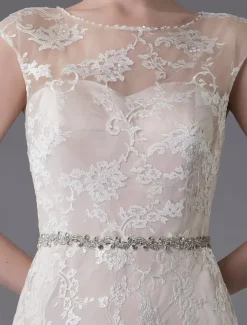 Lace Wedding Dress Champagne Jewel Sleeveless Backless Mermaid Beach Wedding Gown With Train