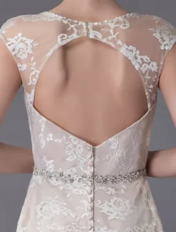 Lace Wedding Dress Champagne Jewel Sleeveless Backless Mermaid Beach Wedding Gown With Train