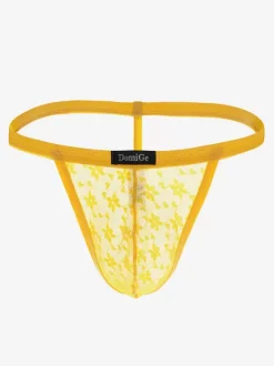 Lace Men Lingerie Piping Sheer Sexy Thong Lingerie