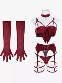 Lace Up Lingerie Burgundy 5-Piece Bra Panty Sets