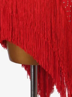 Latin Dance Costume Red Women's Lycra Spandex Dress Latin Dancer dancing Wear