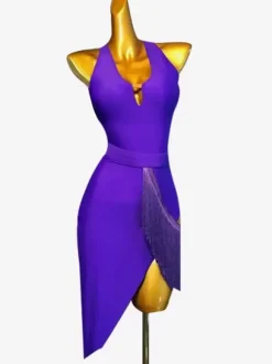 Latin Dance Costume Royal Blue Women's Lycra Spandex Dress Elegant Latin Dancer Dancing Wear