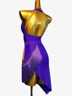 Latin Dance Costume Royal Blue Women's Lycra Spandex Dress Elegant Latin Dancer Dancing Wear