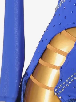 Latin Dance Costume Royal Blue Women's Lycra Spandex Dress Dancing Wear