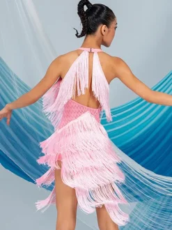 Latin Dance Costume Women Fringe Set Elegant Dress Dancing Costume