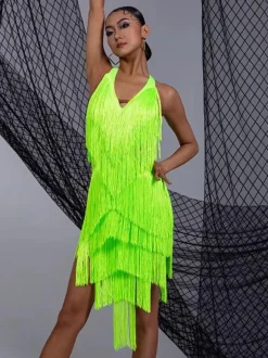 Latin Dance Costume Women Fringe Set Elegant Dress Dancing Costume