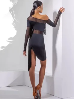 Latin Dance Dress Black Women's Fringe Sexy One Shoulder Dancing Dress
