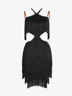Latin Dance Dresses Black Women Fringe Backless Set Dress Dancing Costume