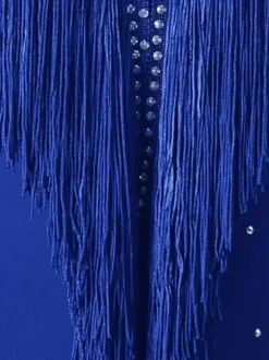 Latin Dance Dresses Blue Women's Polyester Dress Sexy Rhinestones Fringe Latin Dancer Dancing Costume