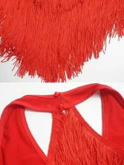 Latin Dance Dresses Champagne Halter Tassel Fringe Dress Elegant Polyester Dress Dancing Costume