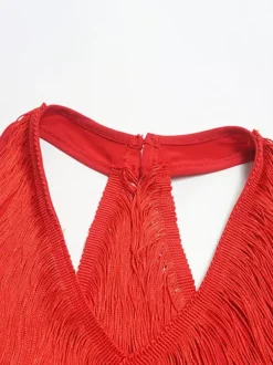 Latin Dance Dresses Champagne Halter Tassel Fringe Dress Elegant Polyester Dress Dancing Costume