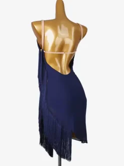 Latin Dance Dresses Dark Navy Women's Lycra Spandex Dress Sexy Latin Dancer Dancing Wear