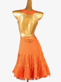 Latin Dance Dresses Orange Women's Lycra Spandex Dress Fringe Latin Dancer Dancing Costume