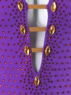 Latin Dance Dresses Purple Women's Lycra Spandex Dress Sexy Fringe Latin Dancer Dancing Wear