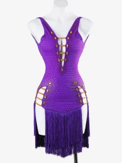 Latin Dance Dresses Purple Women's Lycra Spandex Dress Sexy Fringe Latin Dancer Dancing Wear