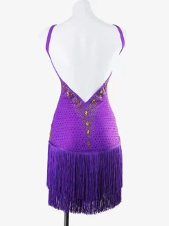 Latin Dance Dresses Purple Women's Lycra Spandex Dress Sexy Fringe Latin Dancer Dancing Wear