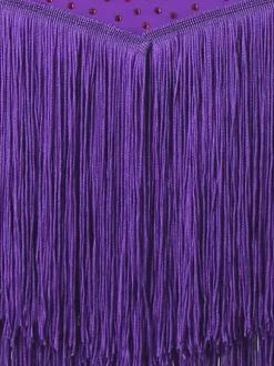 Latin Dance Dresses Purple Women's Lycra Spandex Dress Sexy Fringe Latin Dancer Dancing Wear
