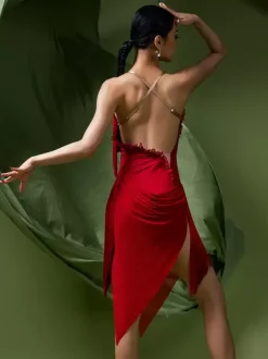 Latin Dance Dresses Red Women's Dress Sexy Polyester Dress Dancing Wear