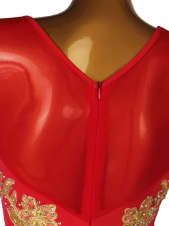 Latin Dance dresses Red Women's Lycra Spandex Dress Latin Dancer dancing costume