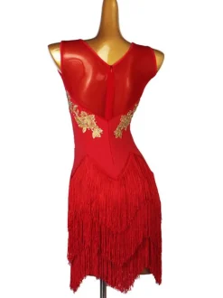 Latin Dance dresses Red Women's Lycra Spandex Dress Latin Dancer dancing costume
