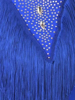 Latin Dance Dresses Royal Blue Women's Set Lycra Spandex Dress Dancing Wear