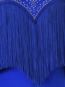 Latin Dance Dresses Royal Blue Women's Set Lycra Spandex Dress Dancing Wear