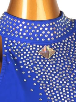 Latin Dance Dresses Royal Blue Women's Set Lycra Spandex Dress Dancing Wear