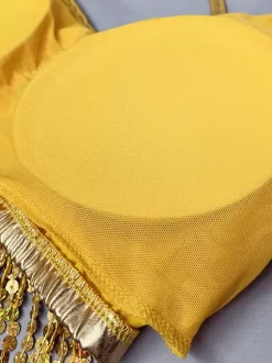 Latin Dance Gold Sequins Fringe Set Sexy Skirt Top Dancing Costume