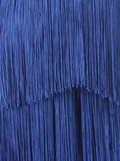 Latin Dance Costume Blue Women's Polyester Dress Backless Sexy Fringe Latin Dancer Dancing Wear