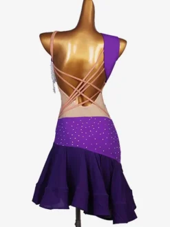 Latin Dance Costume Purple Women's Set Lycra Spandex Dress Dancing Costume Cosplay Costume Carnival