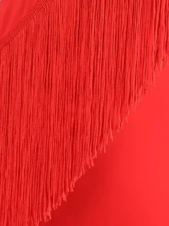 Latin Dance Costume Ture Red Women's Lycra Spandex Dress Elegant Fringe Latin Dancer Dancing Costume