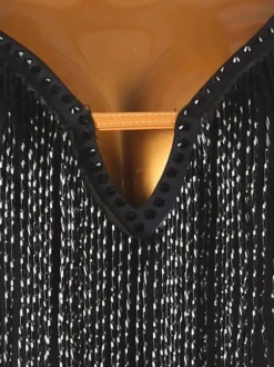 Latin Dance Dresses Black Women's Polyester Dress Sexy Latin Dancer Dancing Wear