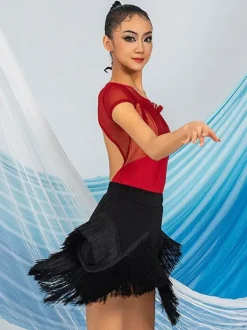 Latin Dance Dresses Coffee Brown Women's Polyester Skirt Top Sheer Elegant Fringe Ruffles Latin Dancer Dancing Costume