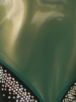 Latin Dance Dresses Dark Green Women's Elegant Lycra Spandex Dress Dancing Wear