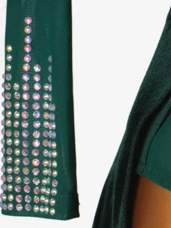 Latin Dance dresses Dark Green Women's Lycra Spandex Dress Latin Dancer dancing Wear