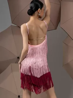 Latin Dance Dresses Pink Women's Polyester Dress Sexy Latin Dancer Dancing Wear