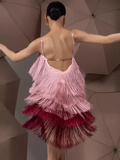 Latin Dance Dresses Pink Women's Polyester Dress Sexy Latin Dancer Dancing Wear