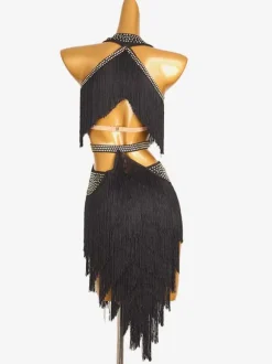 Latin Dance Dresses Royal Blue Women's Fringe Lycra Spandex Dress Dancing Costume