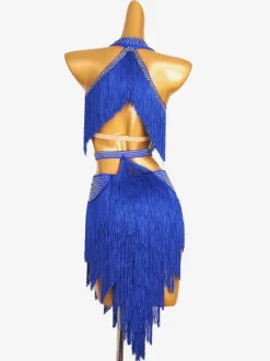 Latin Dance Dresses Royal Blue Women's Fringe Lycra Spandex Dress Dancing Costume