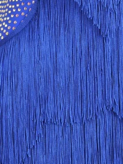 Latin Dance Dresses Royal Blue Women's Fringe Lycra Spandex Dress Dancing Costume