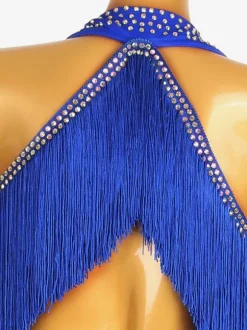 Latin Dance Dresses Royal Blue Women's Fringe Lycra Spandex Dress Dancing Costume