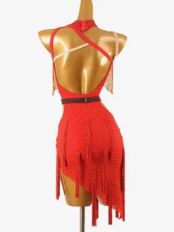 Latin Dance Dresses Ture Red Women's Fringe Lycra Spandex Dress Dancing Wear